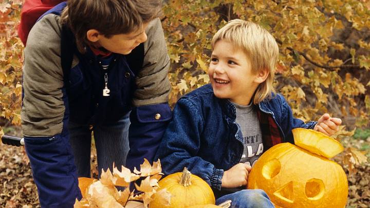Two brothers with a wheelbarrow and carved Halloween pumpkins amidst autumn leaves in the 1980s. Two brothers with a wheelbarrow and carved Halloween pumpkins amidst autumn leaves in the 1980s.