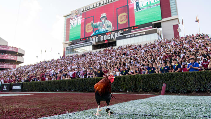 Nov 22, 2025; Columbia, South Carolina, USA;  Sir Big Spur VII, the South Carolina Gamecocks live mascot, stands on the field before the game against the Coastal Carolina Chanticleers at Williams-Brice Stadium. Mandatory Credit: Jeff Blake-Imagn Images