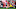 Luis Diaz, Alphonse Areola Luis Diaz, Alphonse Areola