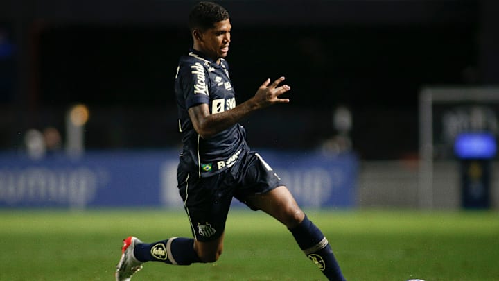 Santos v Fluminense - Brasileirao 2021