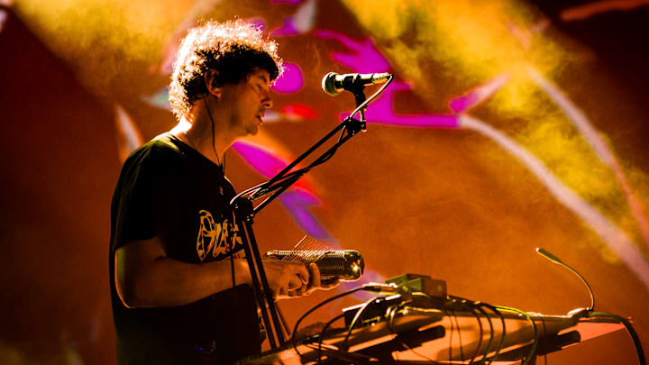 Panda Bear