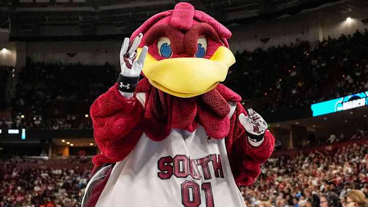 South Carolina Gamecocks mascot Cocky