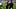 Baltimore Ravens head coach Jesse Minter shakes hands with New Orleans Saints head coach Kellen Moore after the game Baltimore Ravens head coach Jesse Minter shakes hands with New Orleans Saints head coach Kellen Moore after the game