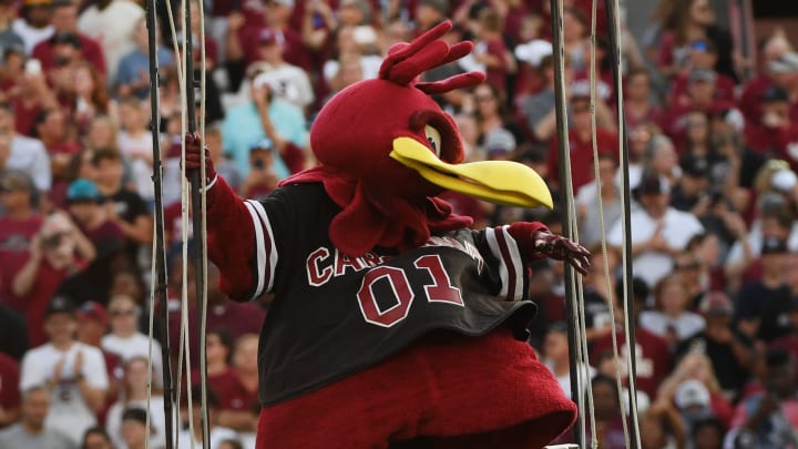 The University of South Carolina Spring football game took place at William-Brice Stadium on April 24, 2024. Cocky is taken to the field.