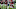 Malcolm Mitchell, New England Patriots Malcolm Mitchell, New England Patriots
