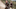 Game of Thrones Jaime Lannister Bronn Dorne Sons of the Harpy season 5 episode 4 Nikolaj Coster-Waldau Jerome Flynn
