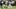 Southern Miss Football, Robert Briggs Southern Miss Football, Robert Briggs