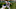 Edgar Renteria Edgar Renteria