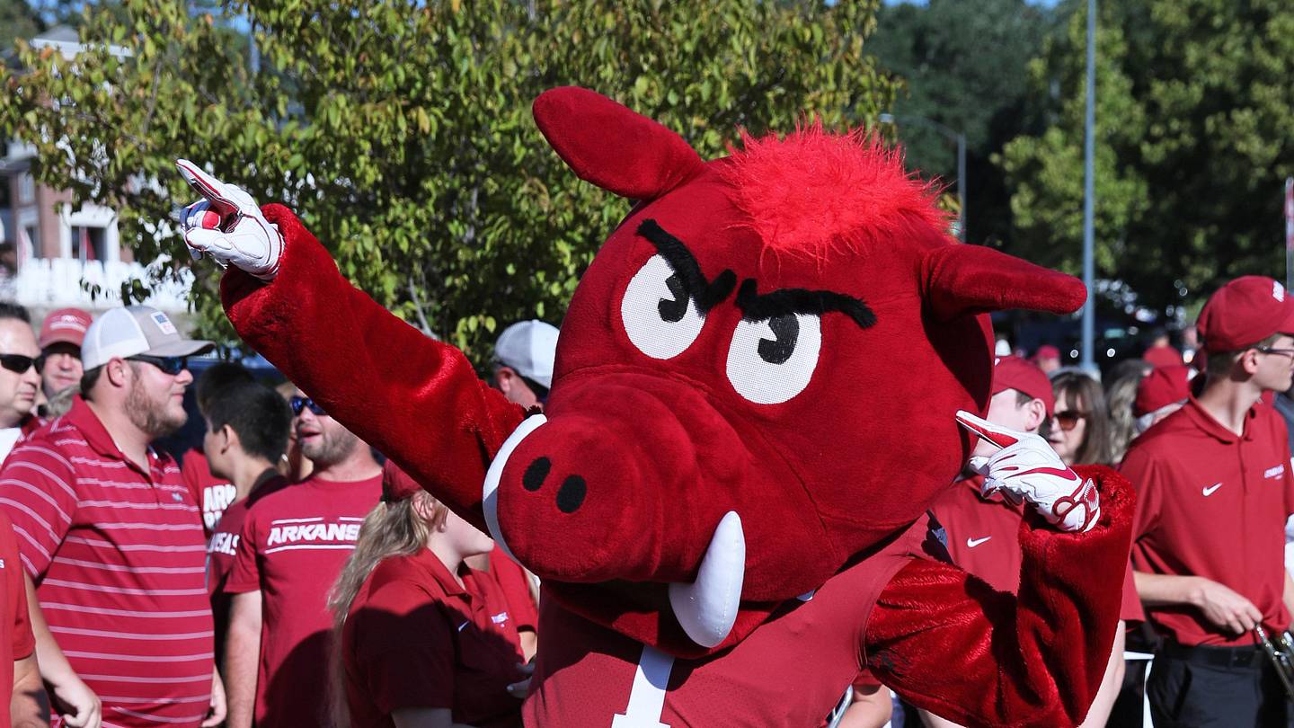 Arkansas Razorback Facebook Tyson reveals 'Razorback Nuggets' for Arkansas football fans in 2024