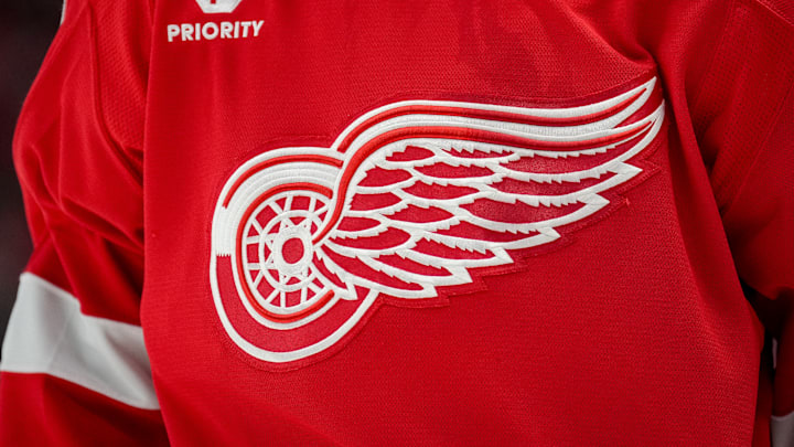 Boston Bruins v Detroit Red Wings