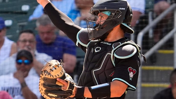 Arizona Diamondbacks catcher Adrian Del Castillo against the Kansas City Royals in the fourth inning during a spring training game at Salt River Fields at Talking Stick on Feb. 28, 2025, in Scottsdale. Arizona Diamondbacks catcher Adrian Del Castillo against the Kansas City Royals in the fourth inning during a spring training game at Salt River Fields at Talking Stick on Feb. 28, 2025, in Scottsdale.