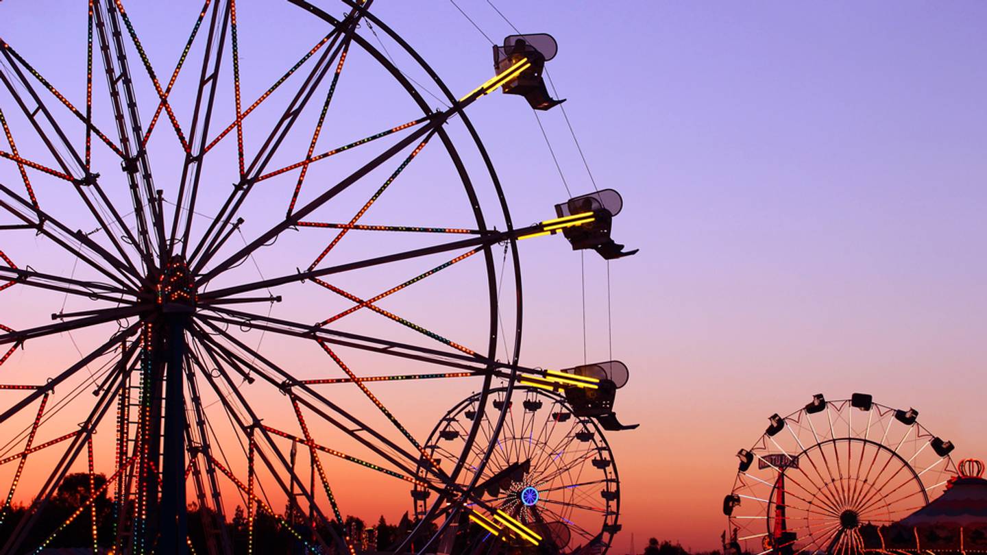6 Tradiciones Raras de las Ferias Estatales de EE. UU.