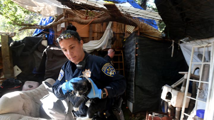 California Highway Patrol Officer J. Varela takes a cat out of a large homeless encampment off Highway 23 and Janss Road in Thousand Oaks Tuesday morning.

T O Homeless 2