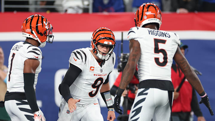 Cincinnati Bengals v New York Giants