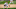 Detroit Tigers infielder Zack Short crouches and prepares to field ball from third bas