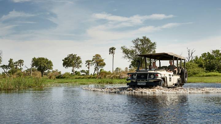 Baines' Lodge Safari