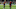 FBL-ESP-CUP-BARCELONA-REAL MADRID FBL-ESP-CUP-BARCELONA-REAL MADRID
