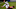 Enner Valencia