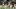Southern Miss Football Southern Miss Football