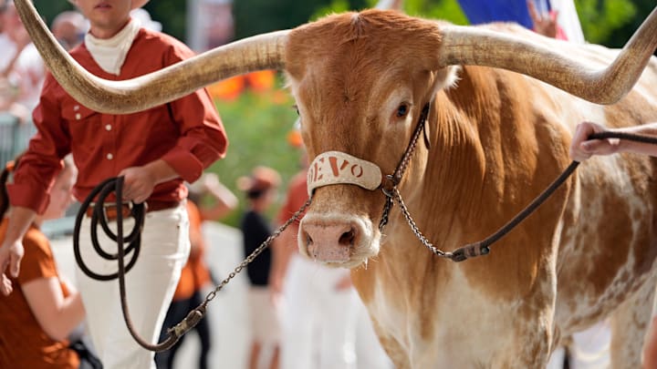 Sep 20, 2025; Austin, Texas, USA; Texas Longhorns live mascot Bevo.
