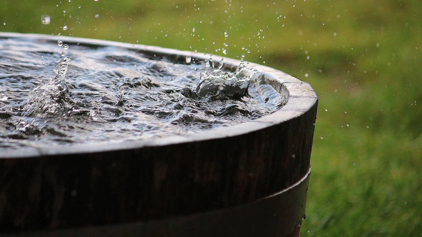 It Is Illegal to Collect Rainwater?