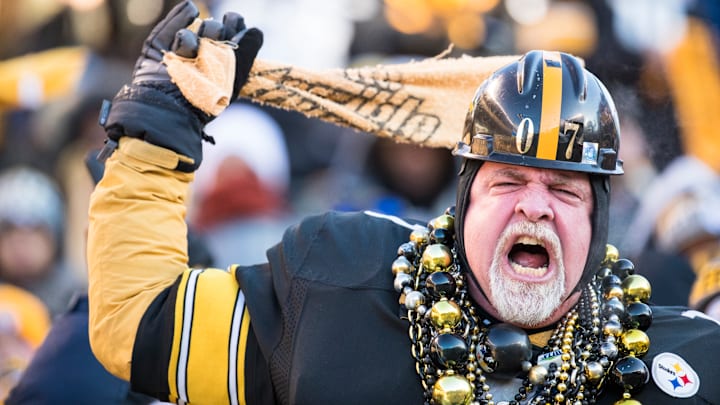 Pittsburgh Steelers fans