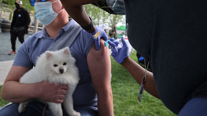 Vaccination Campaign In D.C. Offers A Free Beer In Exchange For Getting Shot