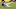 NY Jets, Marcus Williams NY Jets, Marcus Williams