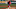 Fantasy Baseball Waiver Wire Prospect: Grayson Rodriguez, Los Angeles Angel