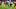 Dallas Cowboys running back Malik Davis. Dallas Cowboys running back Malik Davis.