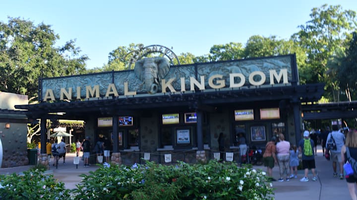Entry to Animal Kingdom. Photo Credit: Brian Miller