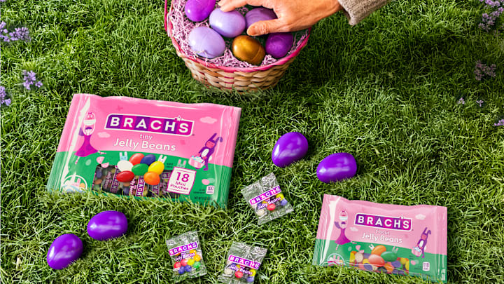 BRACH'S Egg Hunt Hiding Service