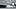 Adorable white kitten peeking out from under a blanket, playful cat hiding and looking curious with big eyes Adorable white kitten peeking out from under a blanket, playful cat hiding and looking curious with big eyes