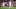 Joe Rodon