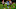 Gabriel Jesus, Bryan Mbeumo Gabriel Jesus, Bryan Mbeumo