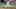 Tom Seaver, Mets Tom Seaver, Mets