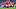 Declan Rice Declan Rice