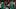 Jayson Tatum and Jaylen Brown Jayson Tatum and Jaylen Brown