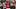 Fantasy Football, Tampa Bay Buccaneers, Baker Mayfield