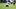 Jack Sanborn on the field Jack Sanborn on the field