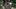 dsc9090jul-03-2019rt-1 dsc9090jul-03-2019rt-1
