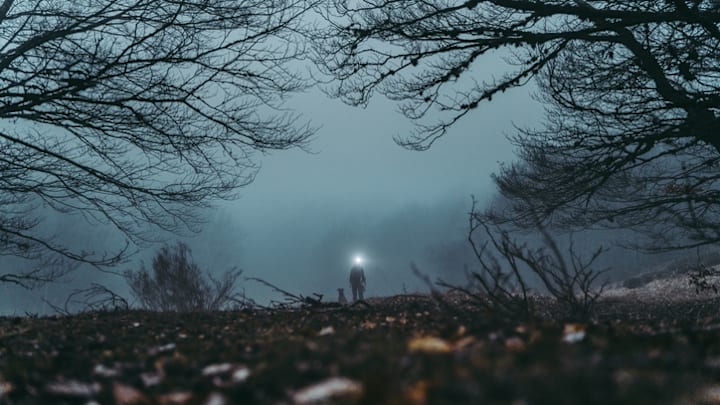 They say you should never hike alone. 