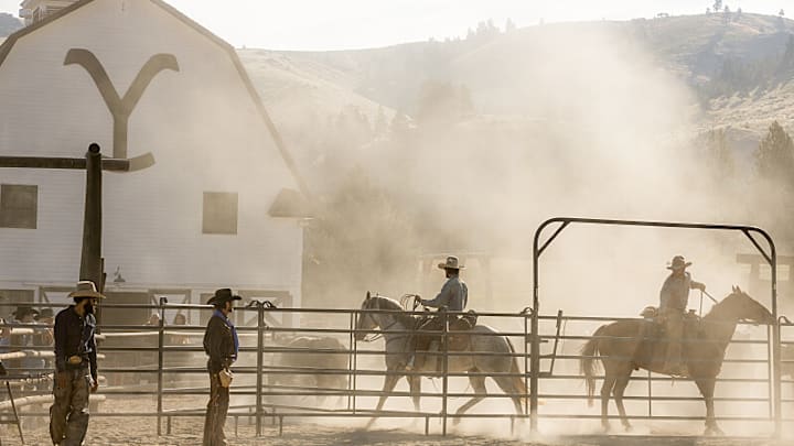 Yellowstone season 5 on Paramount Network