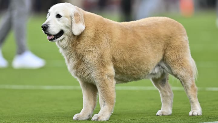 LSU media relations offered a touching tribute outside the broadcast booth to honor Kirk Herbstreit's departed dog, Ben.
