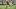 Pat Freiermuth, Pittsburgh Steelers, 2026 Fantasy Football Pat Freiermuth, Pittsburgh Steelers, 2026 Fantasy Football