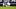 Sep 1, 2025; Phoenix, Arizona, USA; Arizona Diamondbacks outfielder Lourdes Gurriel Jr. (12) is attended to by his teammates Sep 1, 2025; Phoenix, Arizona, USA; Arizona Diamondbacks outfielder Lourdes Gurriel Jr. (12) is attended to by his teammates