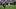 Baltimore Ravens kicker Tyler Loop (33) kicks a field goal in the third quarter 