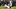 ew England Patriots running back Rhamondre Stevenson ew England Patriots running back Rhamondre Stevenson