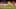 Pascal Gross, Joshua Kimmich Pascal Gross, Joshua Kimmich