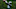Joseph Ngata, Philadelphia Eagles Joseph Ngata, Philadelphia Eagles